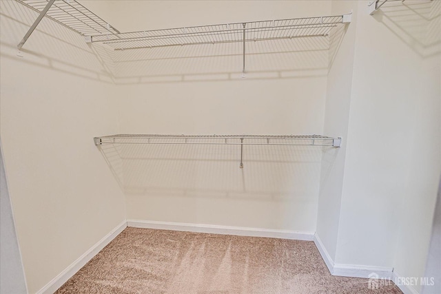 922 Thomas Ave, North Brunswick, NJ 08902 - spacious closet featuring carpet