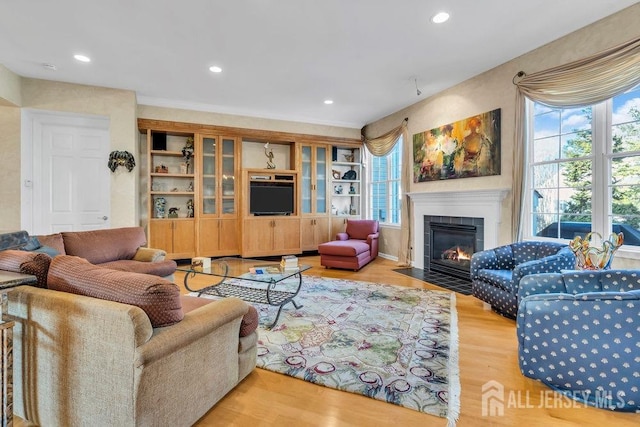 living room with a healthy amount of sunlight and light hardwood / wood-style flooring