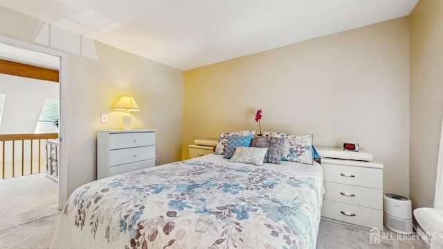 1014 Hemlock Ct, South Brunswick, NJ 08852 - view of carpeted bedroom