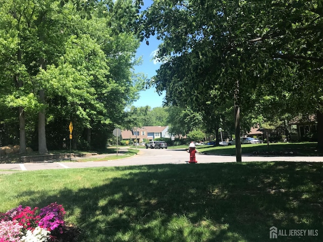1014 Hemlock Ct, South Brunswick, NJ 08852 - view of green lawn