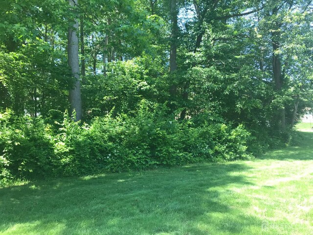 1014 Hemlock Ct, South Brunswick, NJ 08852 - view of green lawn with a wooded view