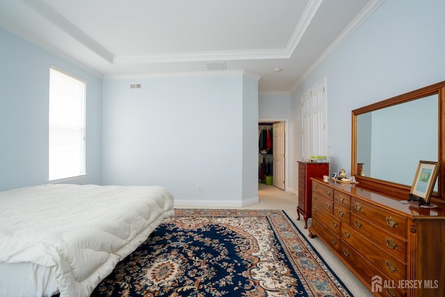 9 Copernicus Ct, East Windsor, NJ 08512 - bedroom with a raised ceiling, crown molding, light colored carpet, and a spacious closet
