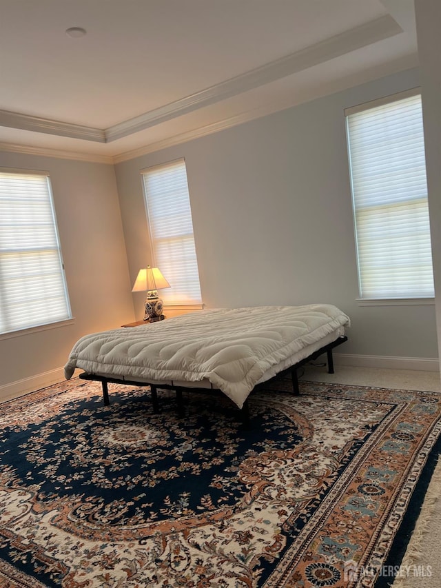 9 Copernicus Ct, East Windsor, NJ 08512 - bedroom featuring a raised ceiling and ornamental molding