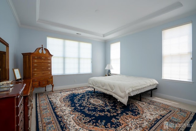 9 Copernicus Ct, East Windsor, NJ 08512 - bedroom with a raised ceiling and ornamental molding