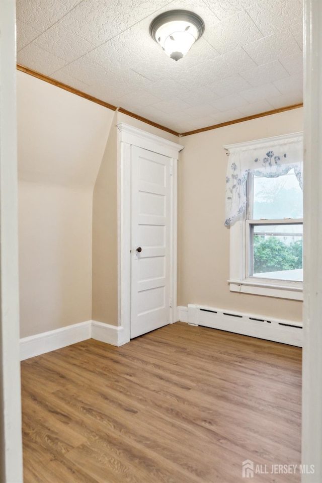 113 Coleman St, Middlesex, NJ 08846 - additional living space with a baseboard radiator, wood finished floors, and baseboards