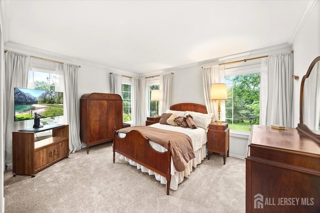 29 Mitchell Ave, Piscataway, NJ 08854 - bedroom featuring crown molding and light colored carpet