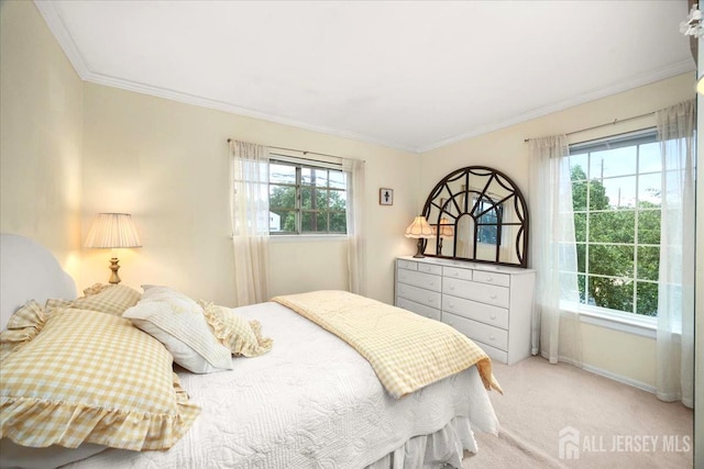 29 Mitchell Ave, Piscataway, NJ 08854 - bedroom featuring crown molding and light carpet