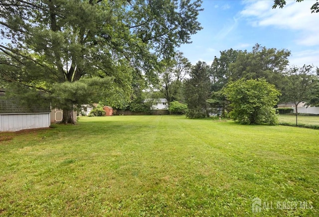 29 Mitchell Ave, Piscataway, NJ 08854 - view of yard