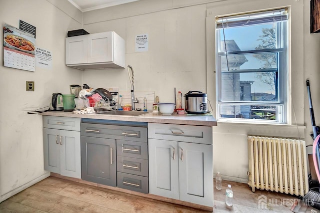 bar with a sink, baseboards, light wood-style floors, radiator heating unit, and crown molding
