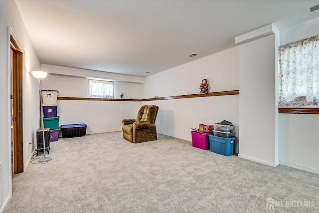 50 Lilac St, Edison, NJ 08817 - living area with carpet