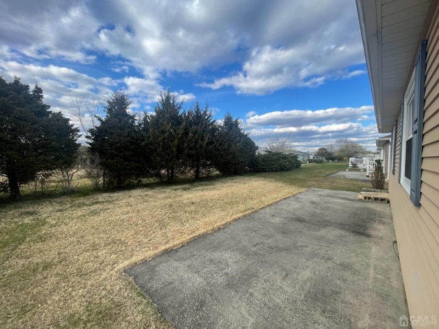 view of yard featuring a patio area