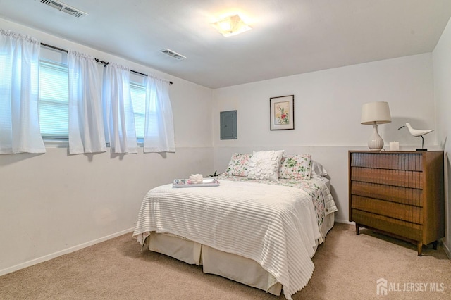24 Grand Ave, South River, NJ 08882 - bedroom with light carpet, electric panel, and baseboards