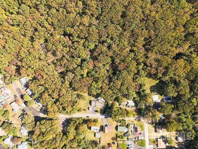 bird's eye view with a view of trees