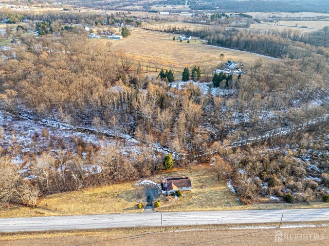 bird's eye view featuring a rural view