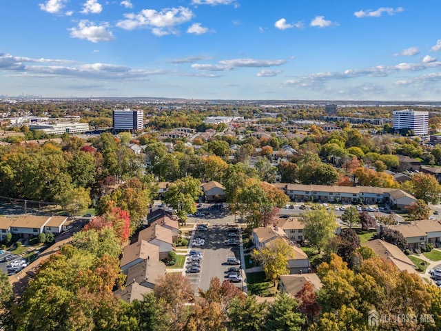 bird's eye view with a view of city