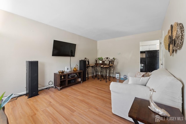 living room with light wood-style floors