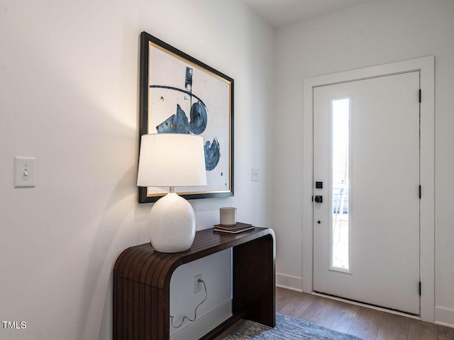 entrance foyer featuring wood finished floors