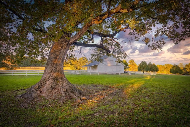 view of yard at dusk