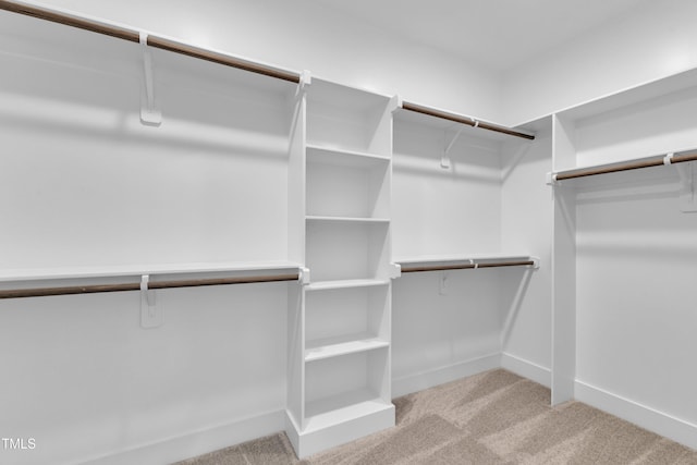 2601 Mayview Rd, Raleigh, NC 27607 - walk in closet with carpet flooring