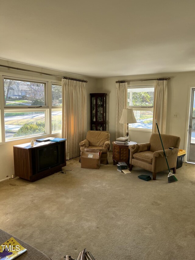 living room with light carpet