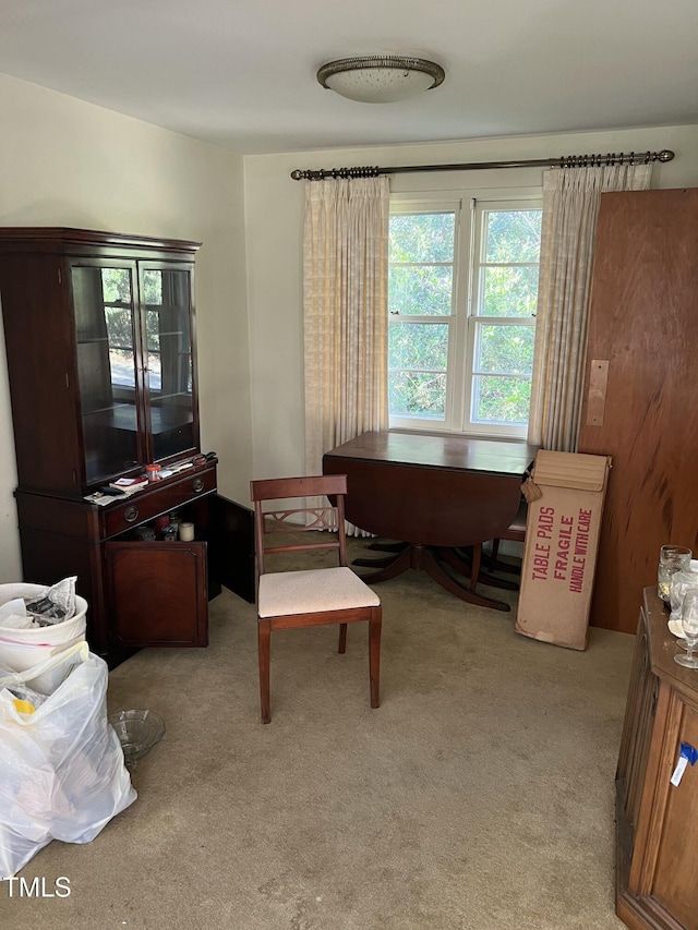 living area with light colored carpet