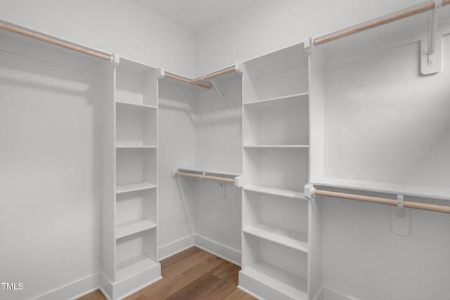 spacious closet featuring dark hardwood / wood-style flooring