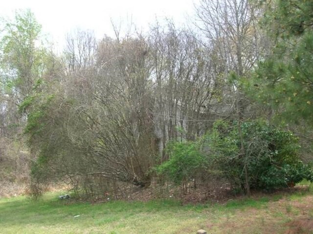 7625 Fayetteville Rd, Raleigh, NC 27603 - photo 3