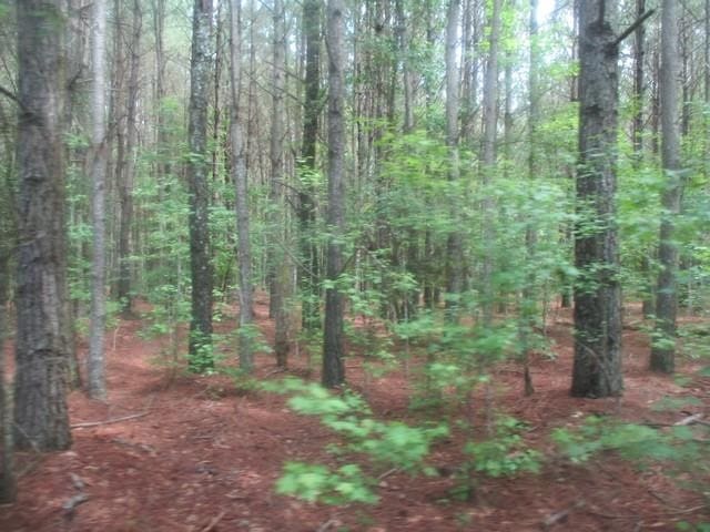 0 Old Mintz Hwy, Garland NC, 28441 land for sale