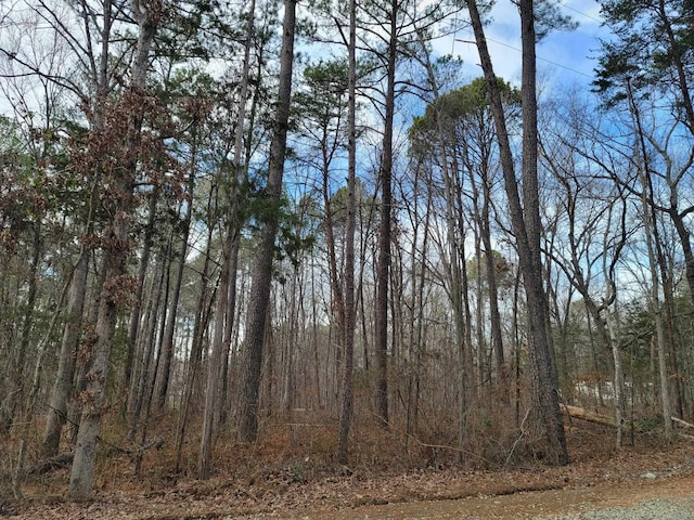 0 Robert Alston Jr Dr, Pittsboro NC, 27312 land for sale