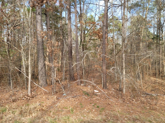 Listing photo 2 for 0 Robert Alston Jr Dr, Pittsboro NC 27312