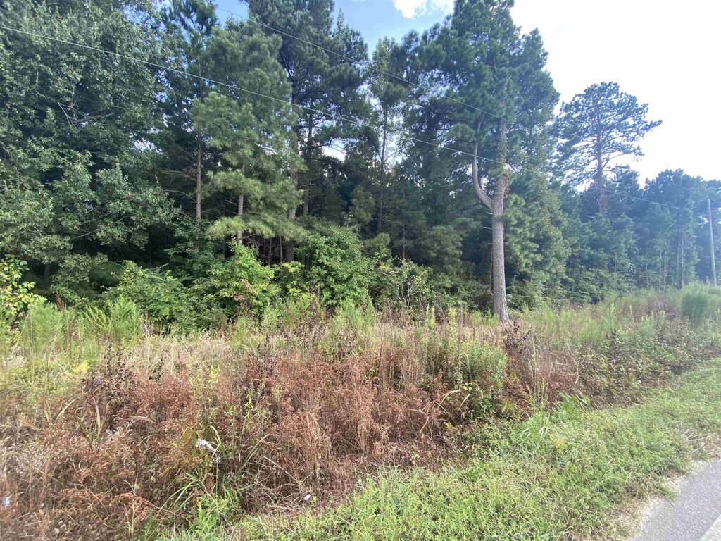 0 Butler Island Rd, Roseboro, NC 28382