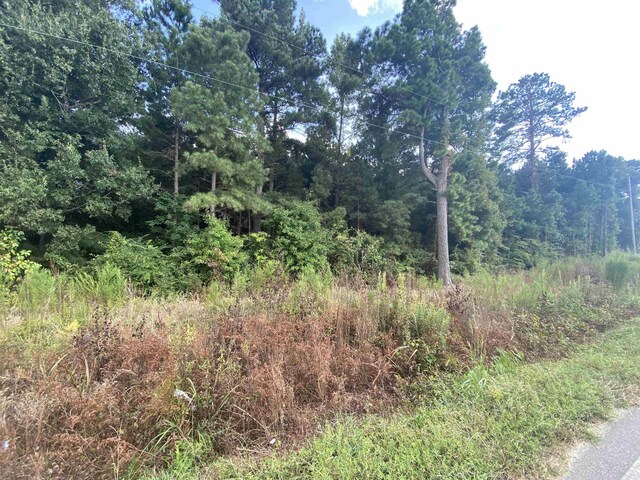 0 Butler Island Rd, Roseboro, NC 28382