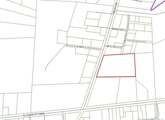 NEAR196 Meadow Rd, Lumberton, NC 28358 - photo 2