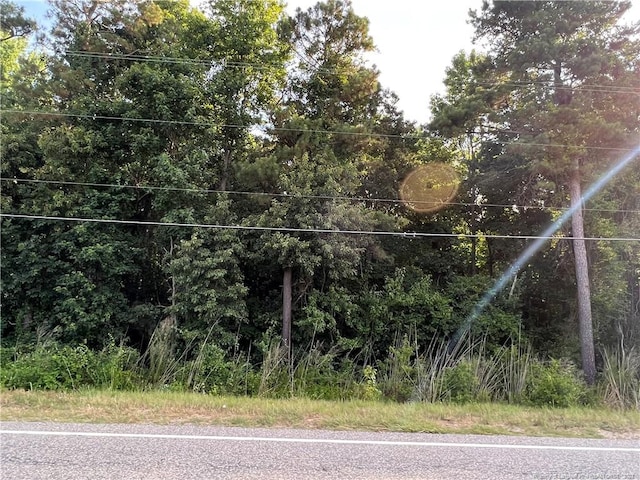 US-421 Hwy, Lillington NC, 27546 land for sale