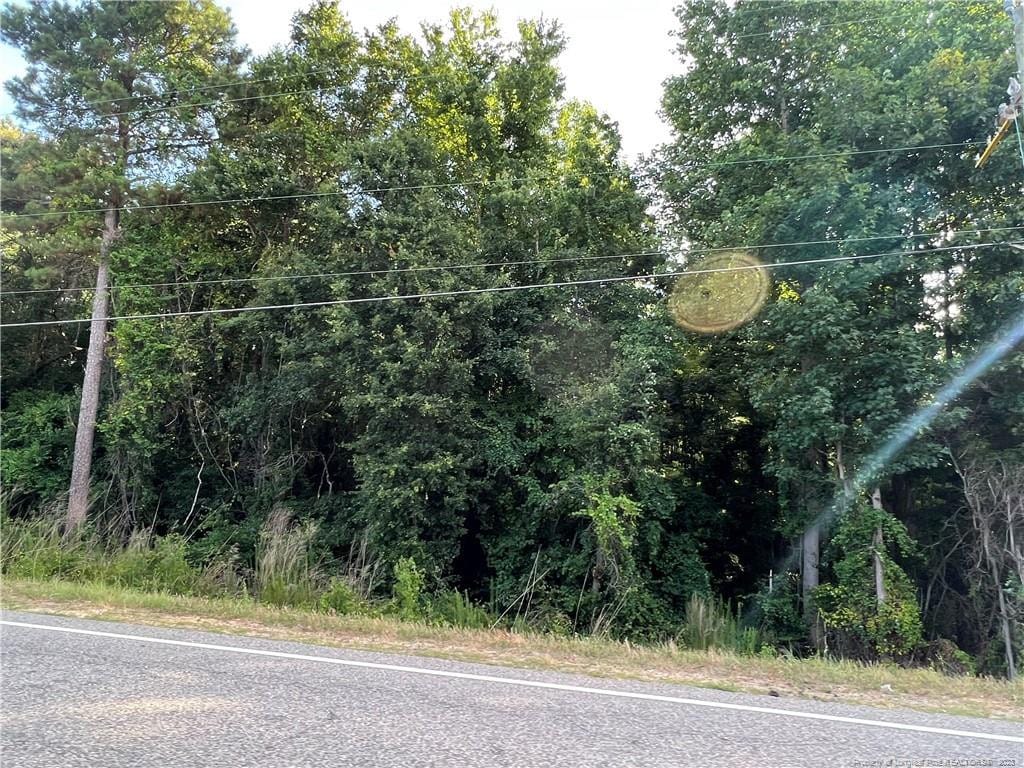US-421 Hwy, Lillington, NC 27546