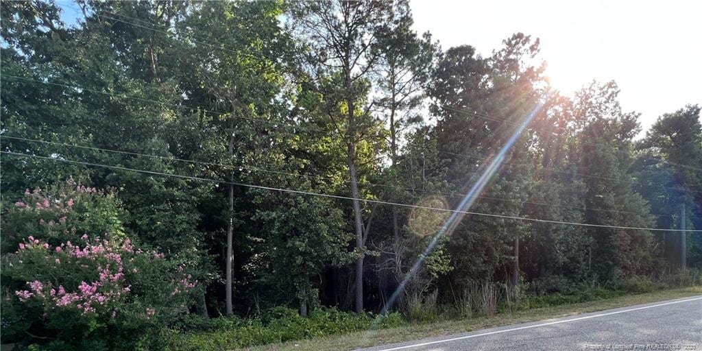 US-421 Hwy, Lillington, NC 27546