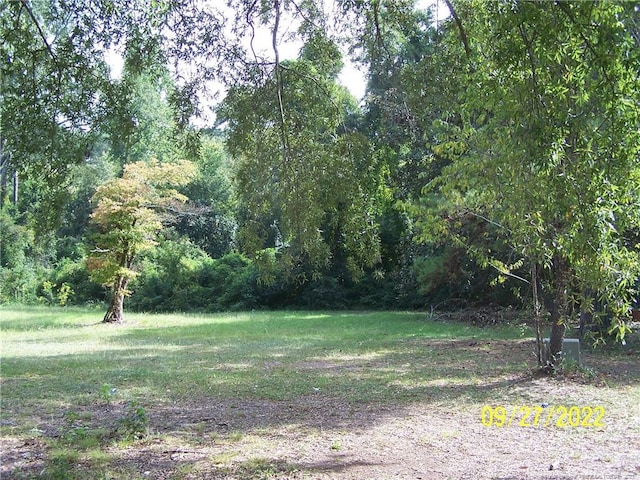 706 Raleigh St, Laurinburg, NC 28352 - photo 1