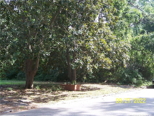 706 Raleigh St, Laurinburg, NC 28352 - photo 3