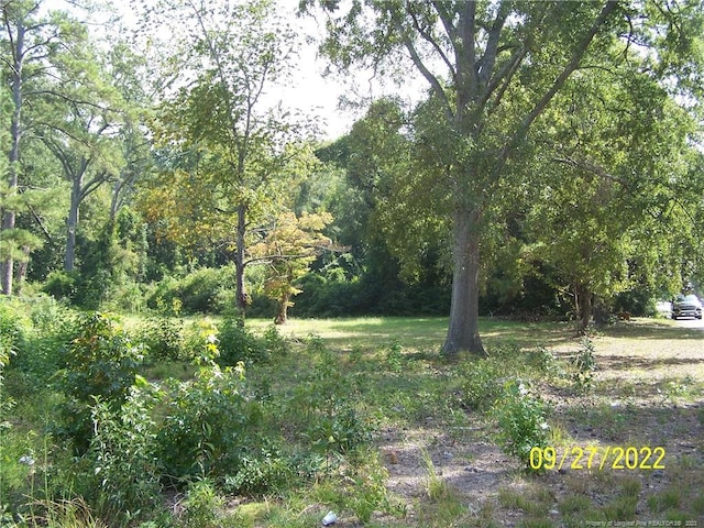 706 Raleigh St, Laurinburg, NC 28352 - photo 4