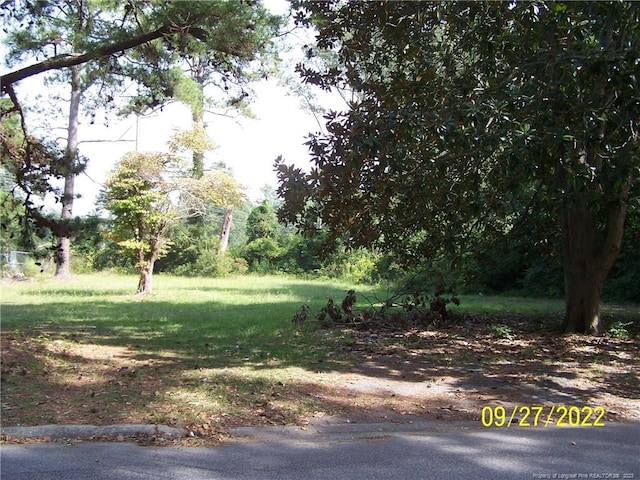 706 Raleigh St, Laurinburg, NC 28352 - photo 6