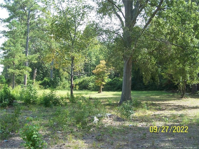 706 Raleigh St, Laurinburg, NC 28352 - photo 7