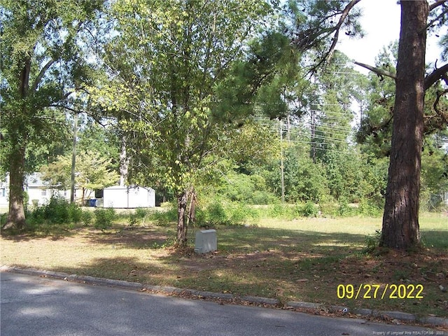 706 Raleigh St, Laurinburg, NC 28352 - photo 8