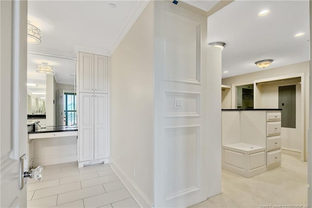 bathroom with electric panel and ornamental molding