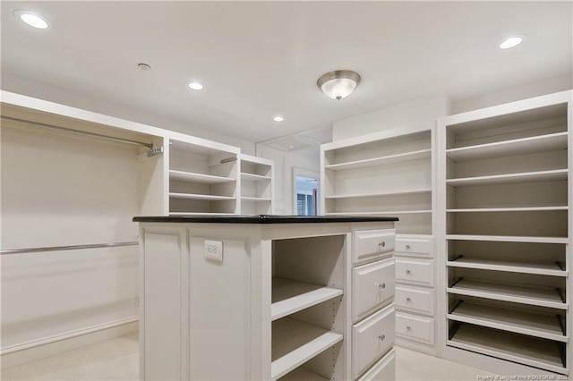 view of spacious closet