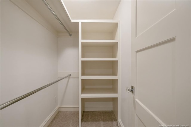 spacious closet with carpet