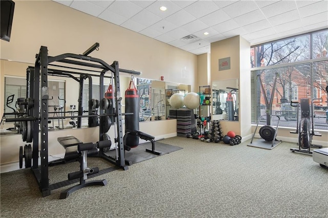 workout area with carpet floors and a paneled ceiling