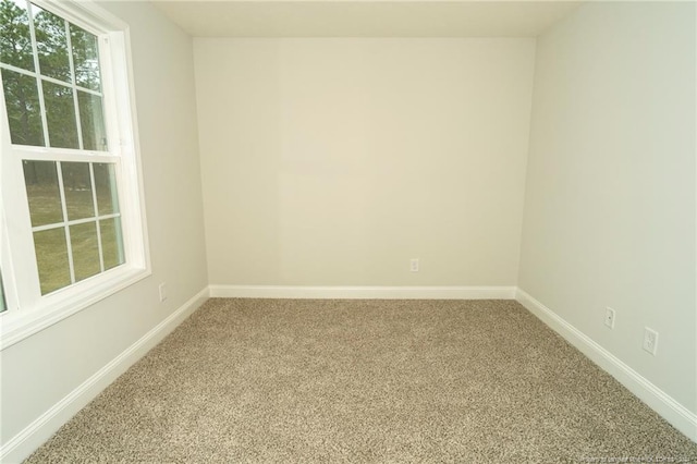 unfurnished room featuring carpet floors