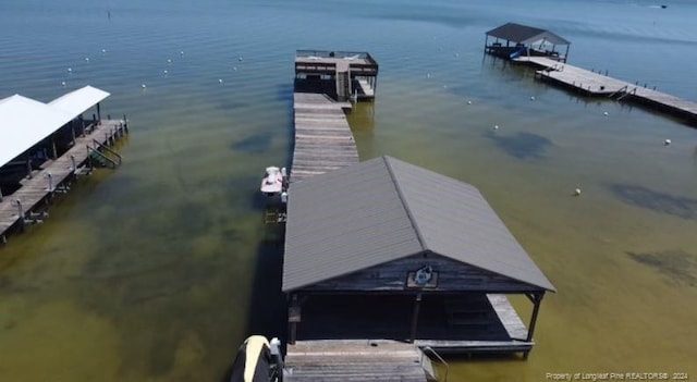 dock area with a water view