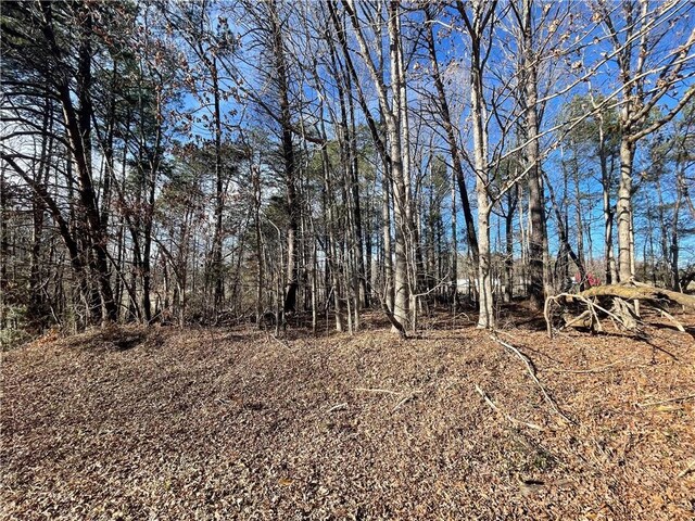3605 W Ten Rd, Efland, NC 27243 - photo 2