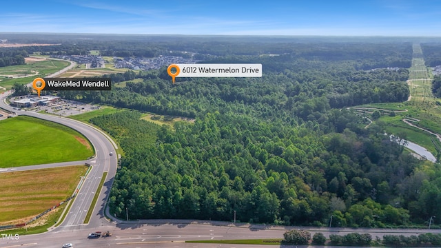 6012 Watermelon Dr, Wendell, NC 27591 - photo 3